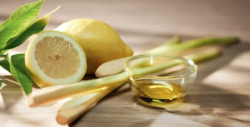 Nine reasons to love lemongrass