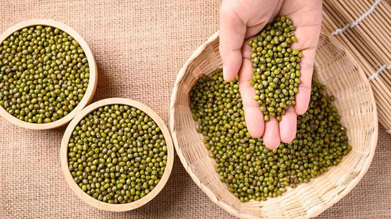 Mung Bean – The Small Beans With Great Benefits