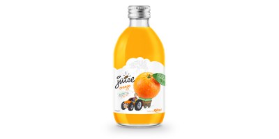 glass 320ml fruit orange juice private label brand from Rita India