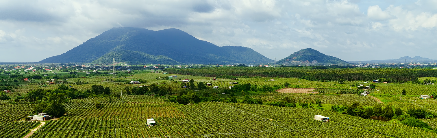RITA fruit farming region