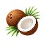 Coconut
