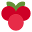 Cranberry