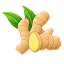 Ginger
