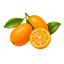 Kumquat