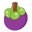 Mangosteen