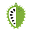 Soursop