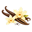 Vanilla