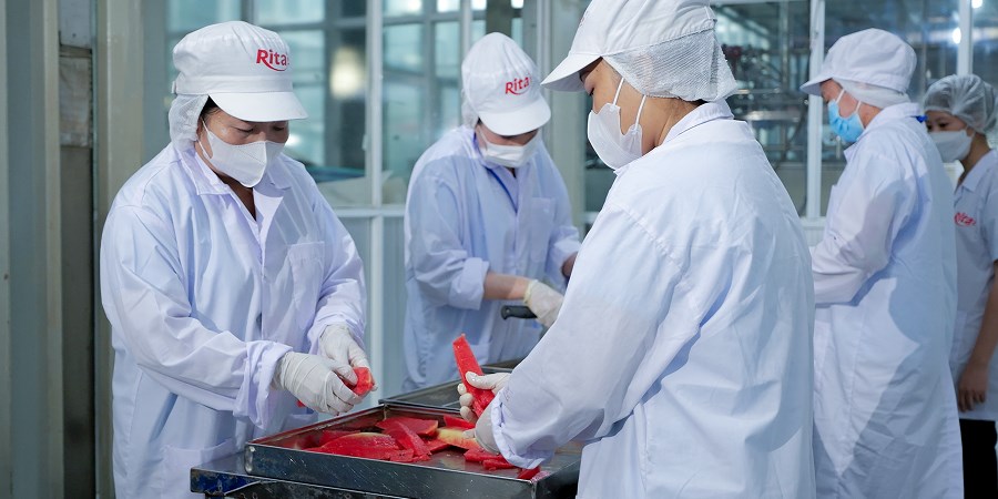 RITA staff processing fresh fruit for juice production
