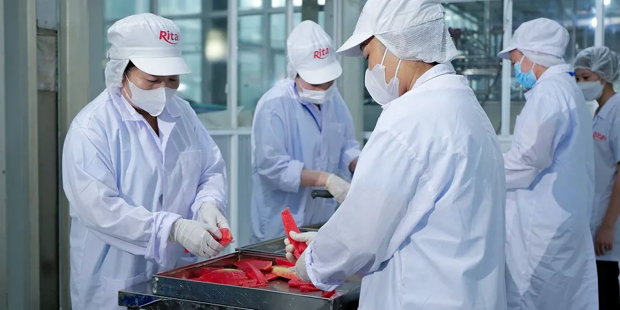 RITA staff processing fresh fruit for juice production