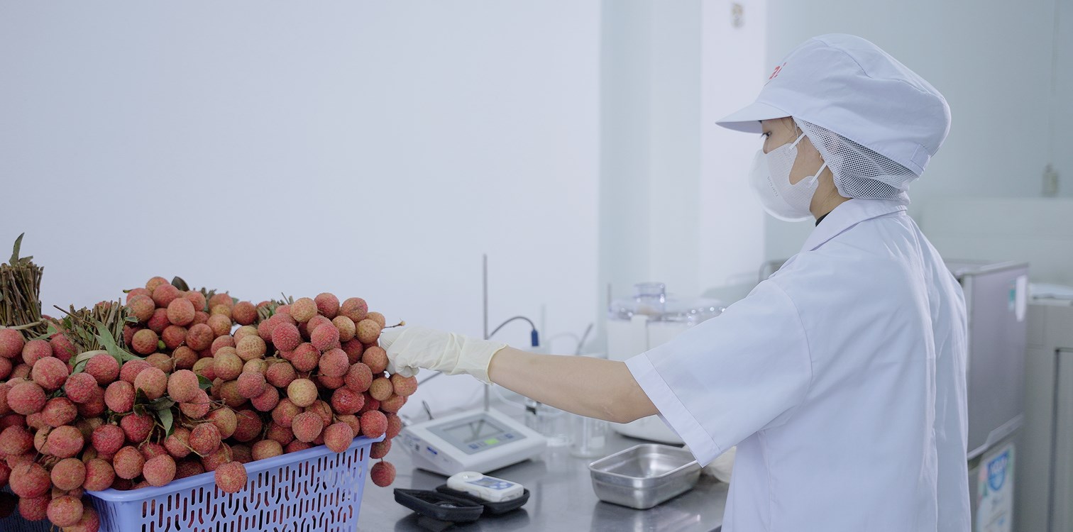 Raw material inspection